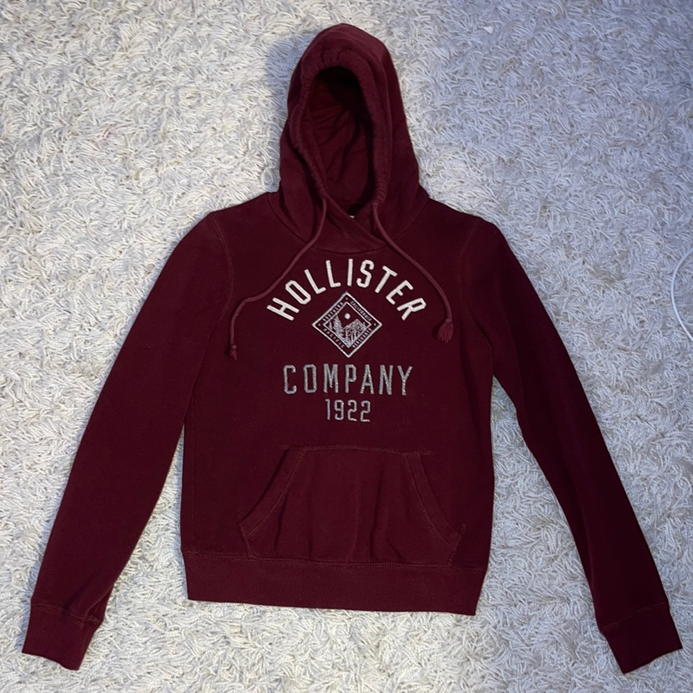 Hollister Hooded Sweatshirt